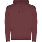 Adult  Hoodies