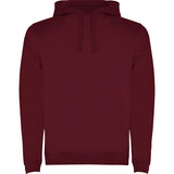 Adult  Hoodies